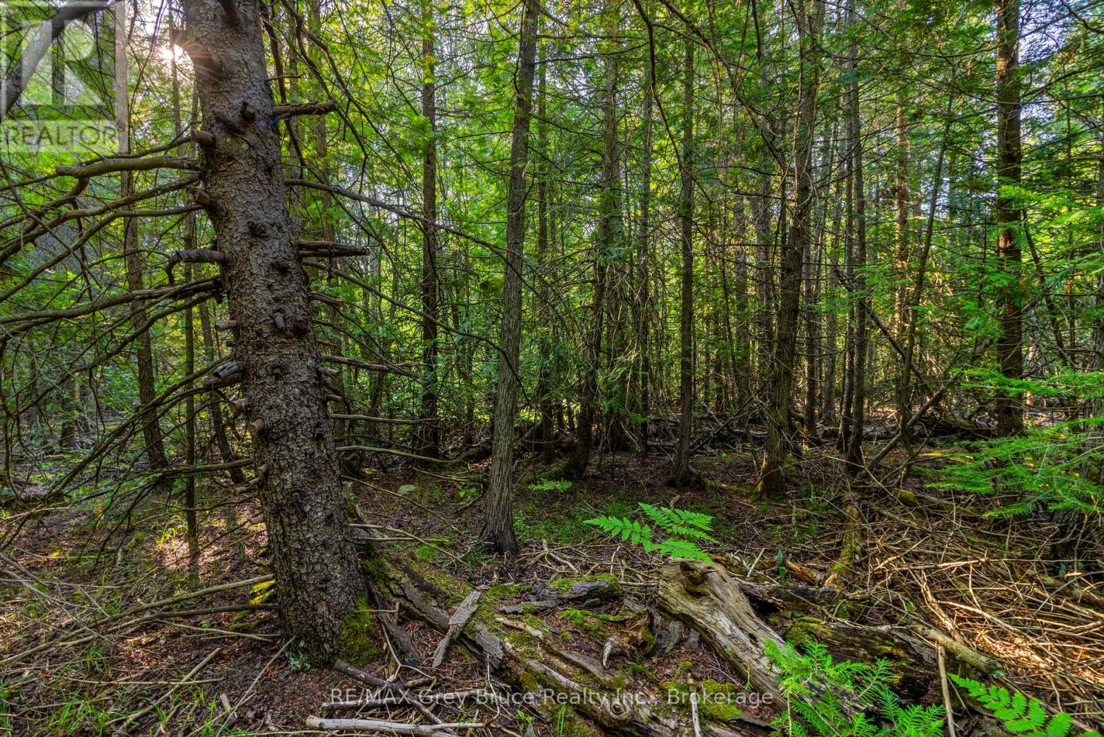 Part 10 Highway 6 Property Photo 22
