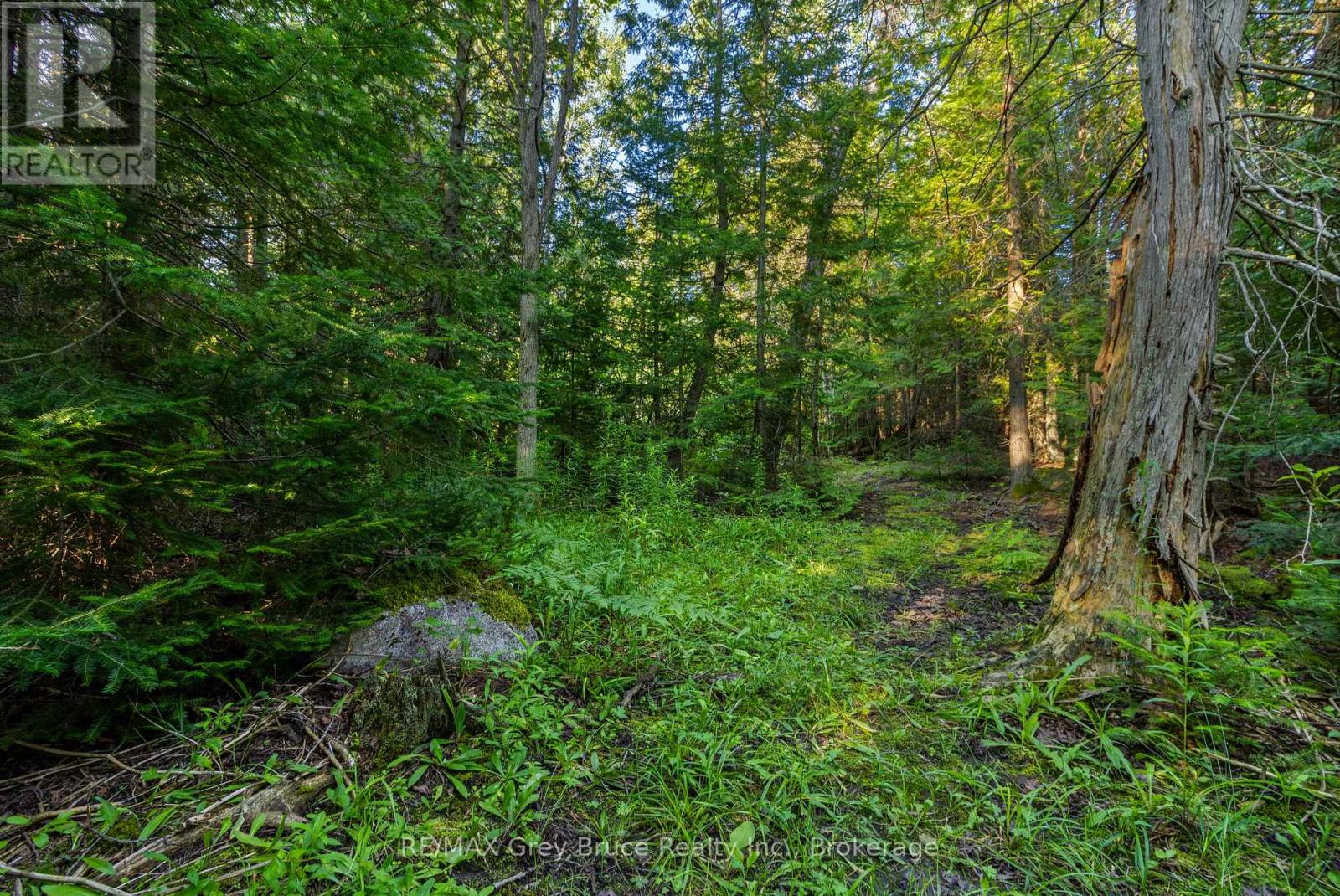 Part 10 Highway 6 Property Photo 23