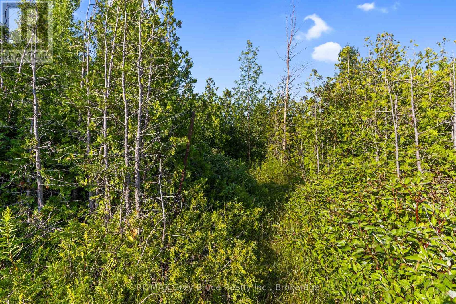 Part 10 Highway 6 Property Photo 25