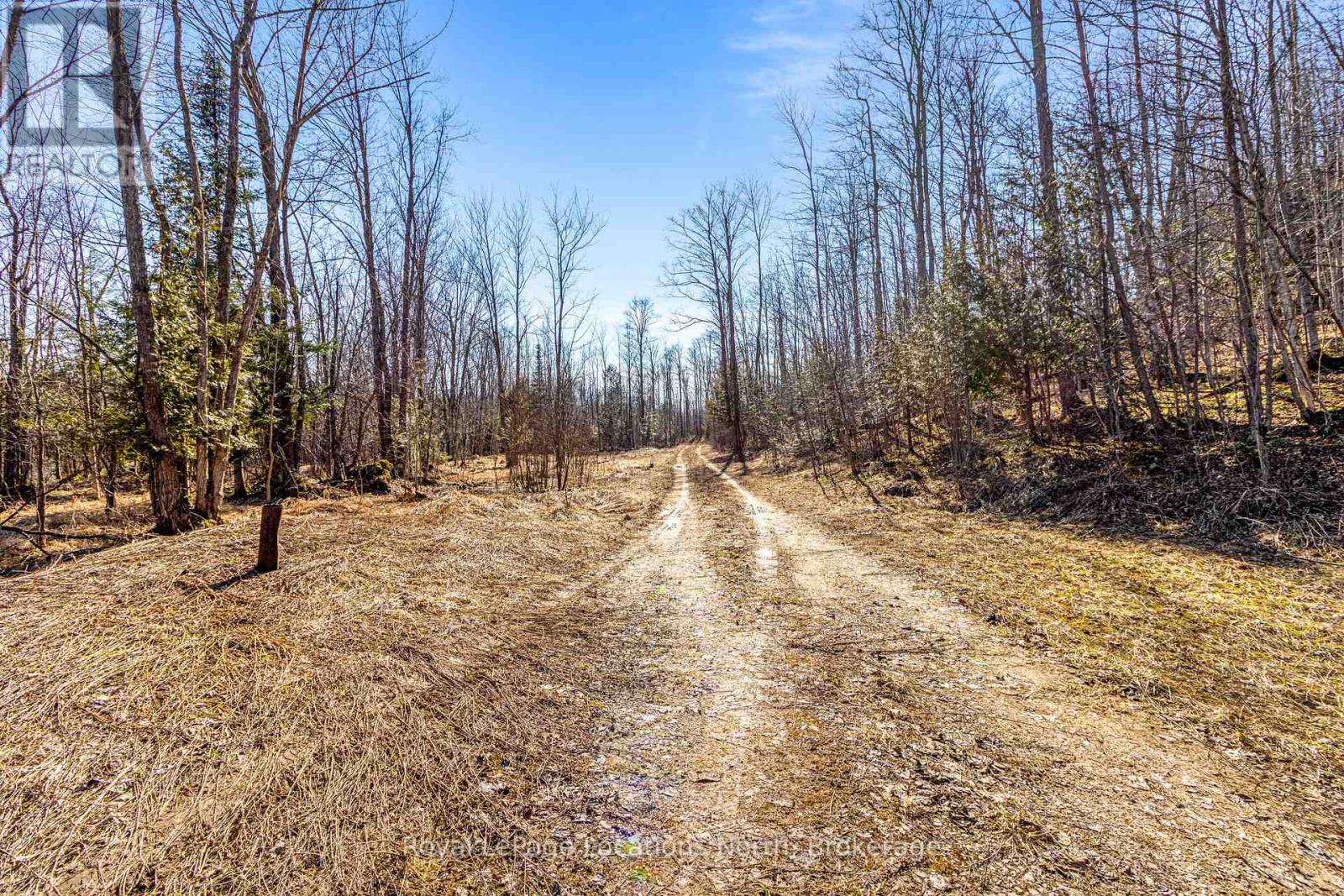 825141 Grey Road 40 Road Property Photo 5