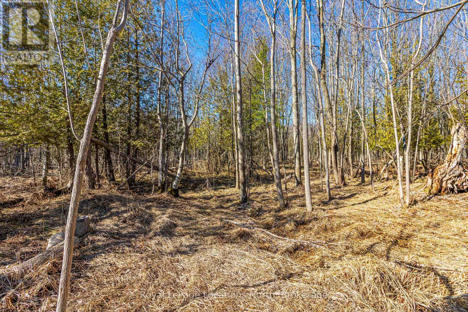 825141 Grey Road 40 Road Property Photo 7