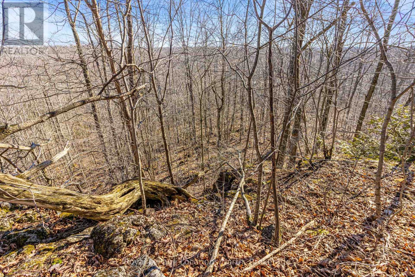 825141 Grey Road 40 Road Property Photo 13