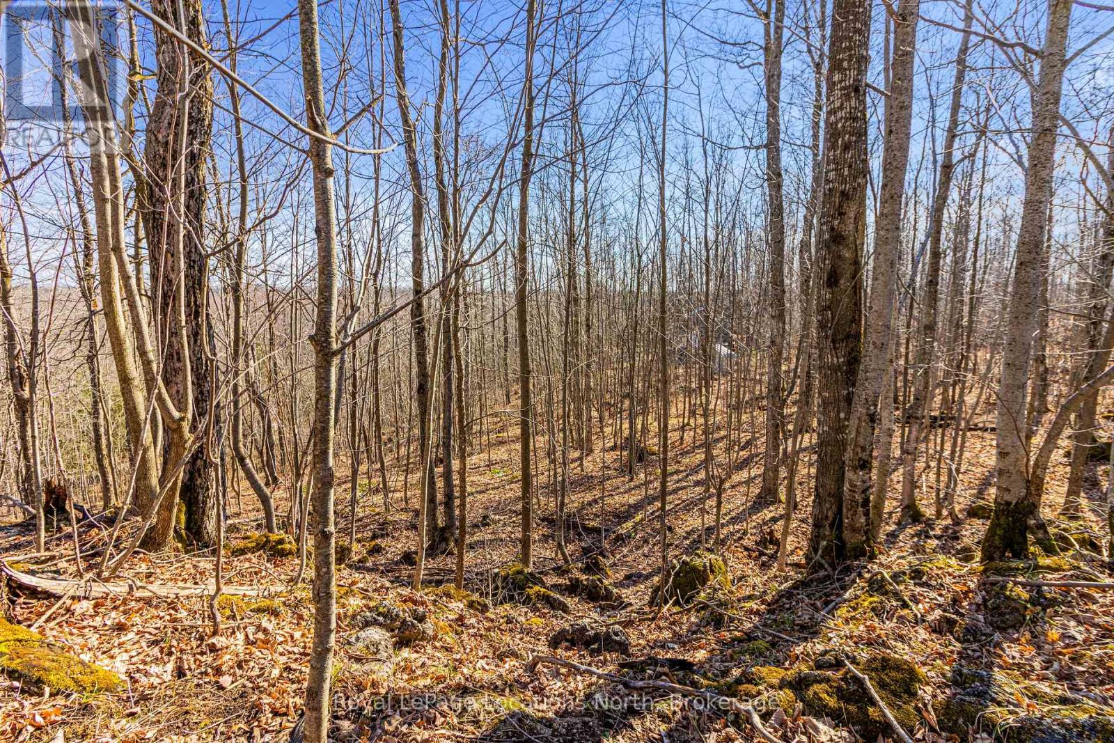 825141 Grey Road 40 Road Property Photo 16