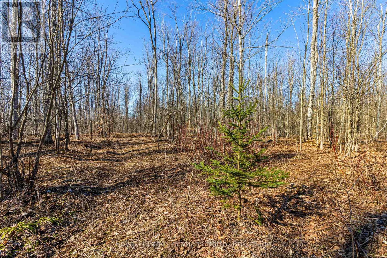 825141 Grey Road 40 Road Property Photo 18