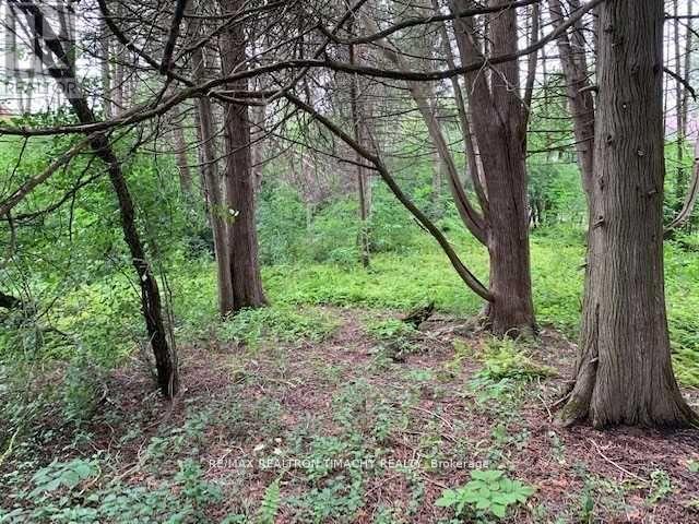 Lot 18 Northside Road Property Photo 6