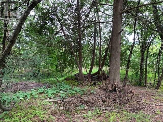 Lot 18 Northside Road Property Photo 8