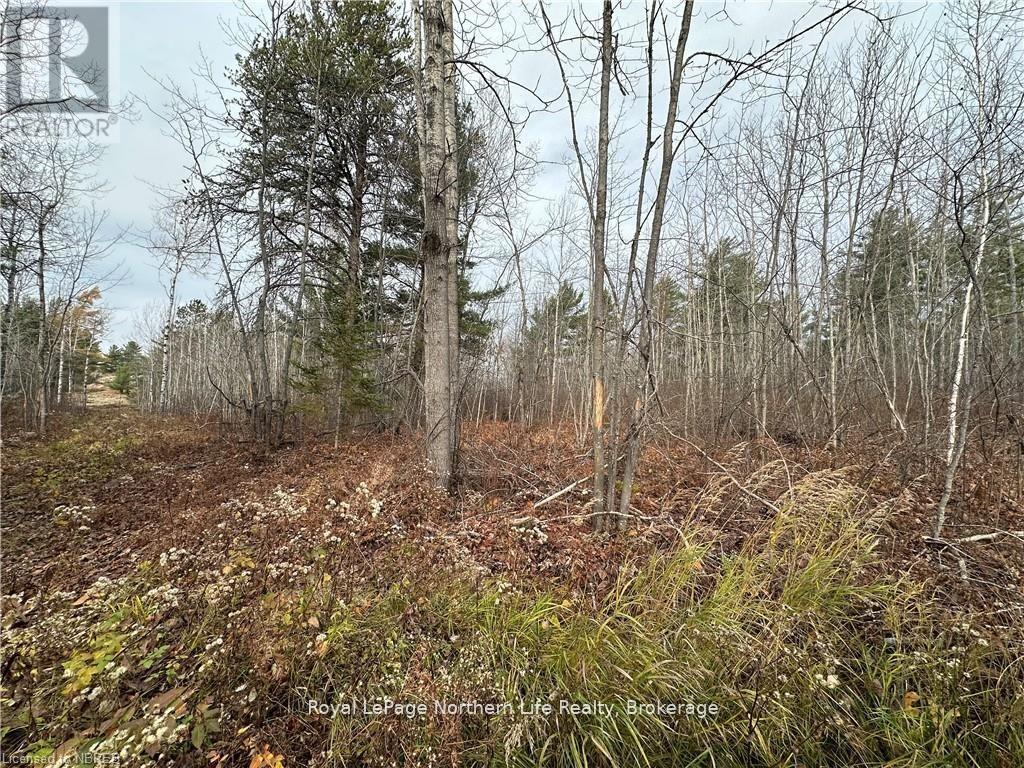 Part 1 Lafreniere Road Property Photo 13