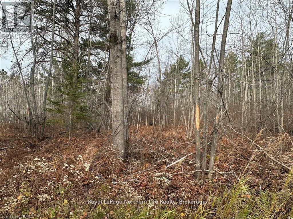 Part 1 Lafreniere Road Property Photo 14
