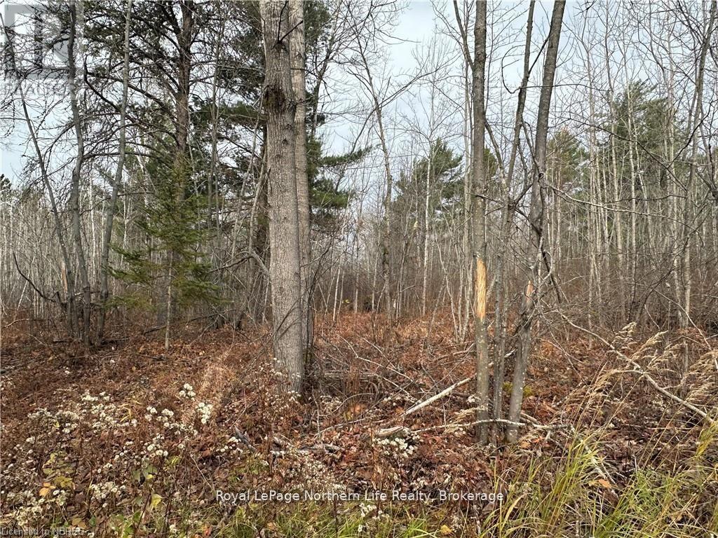 Part 1 Lafreniere Road Property Photo 15