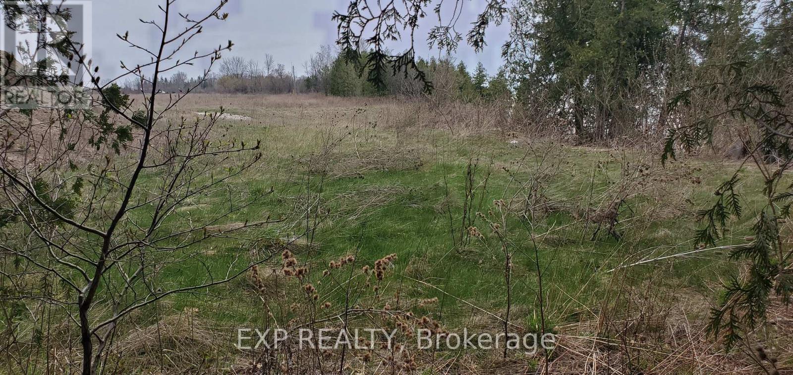6 Irene Crescent Property Photo 9