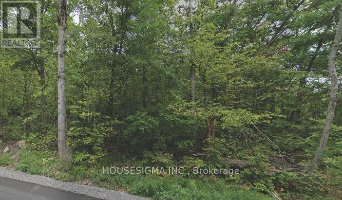 8 Marble Point Rd Property Photo 1