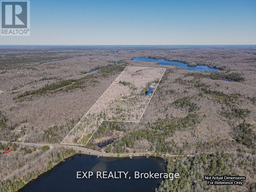 3349 Deep Bay Road Property Photo 6