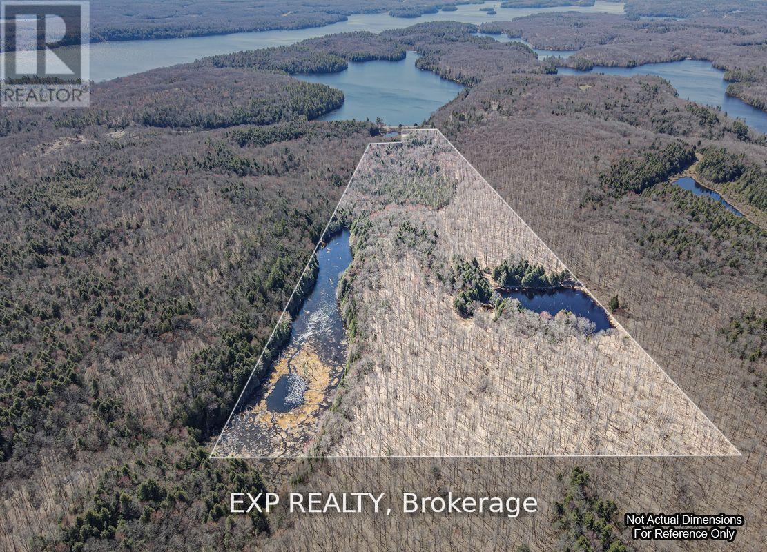 3349 Deep Bay Road Property Photo 9