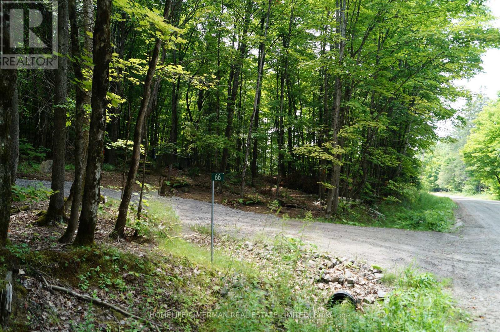 66 Mccauley Road Property Photo 3