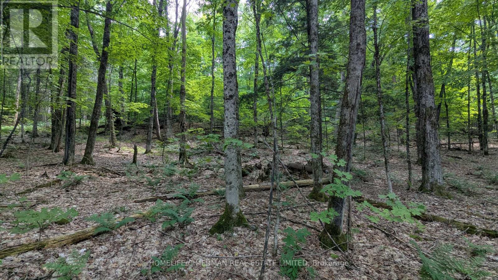 66 Mccauley Road Property Photo 7