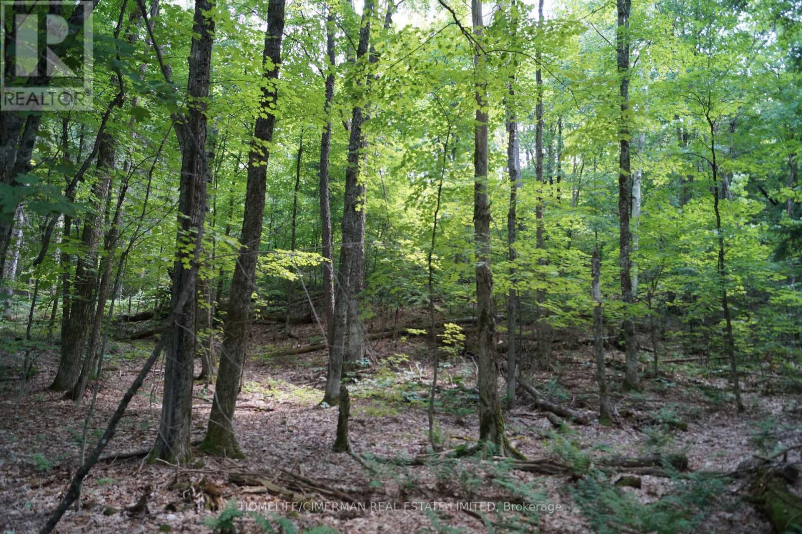 66 Mccauley Road Property Photo 8
