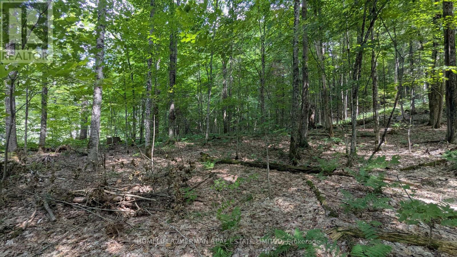 66 Mccauley Road Property Photo 10