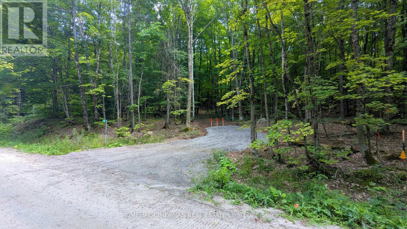 66 Mccauley Road Property Photo 16