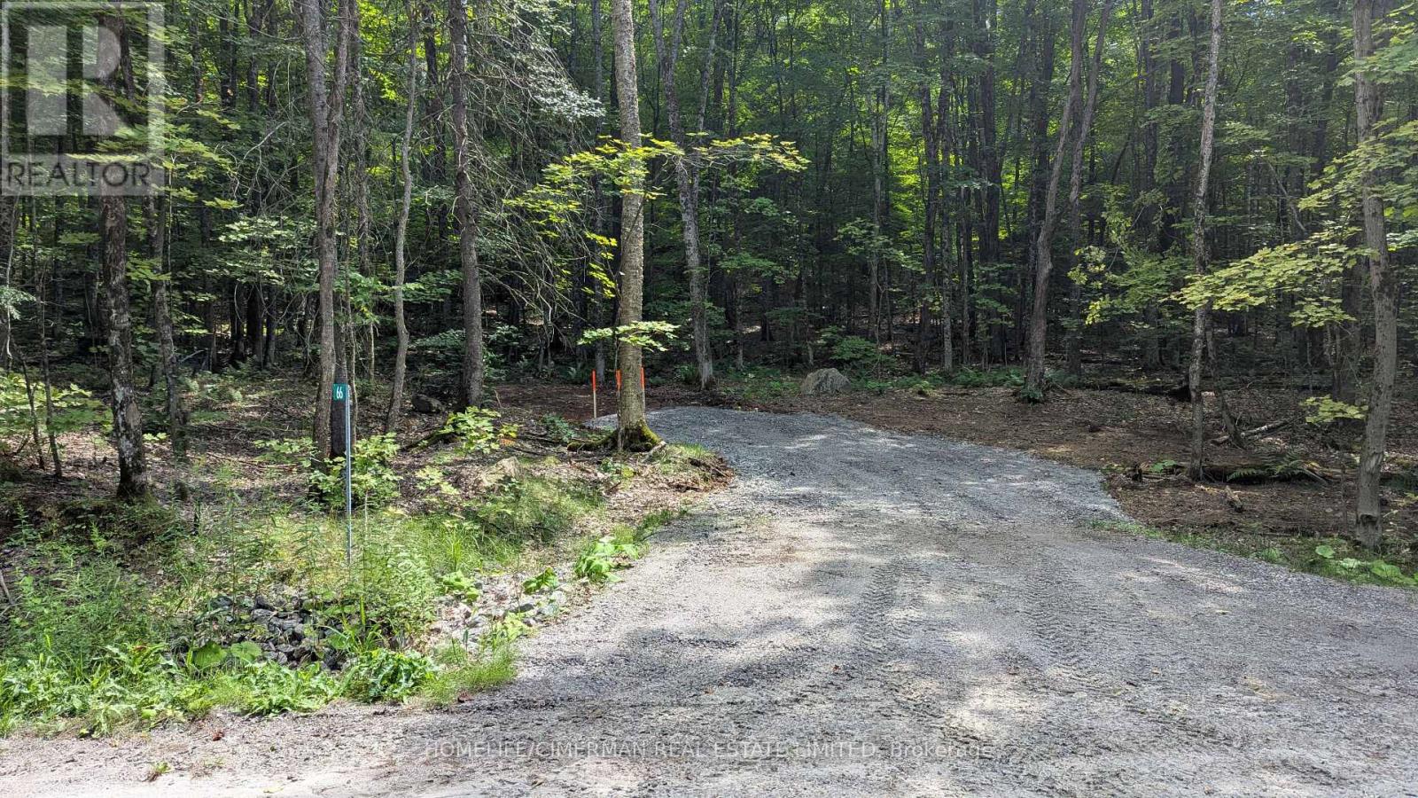66 Mccauley Road Property Photo 17