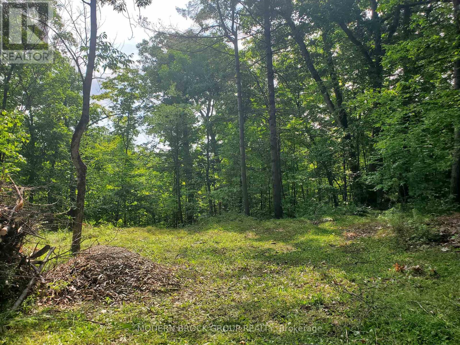 0 Beaver Mdws Road Property Photo 1
