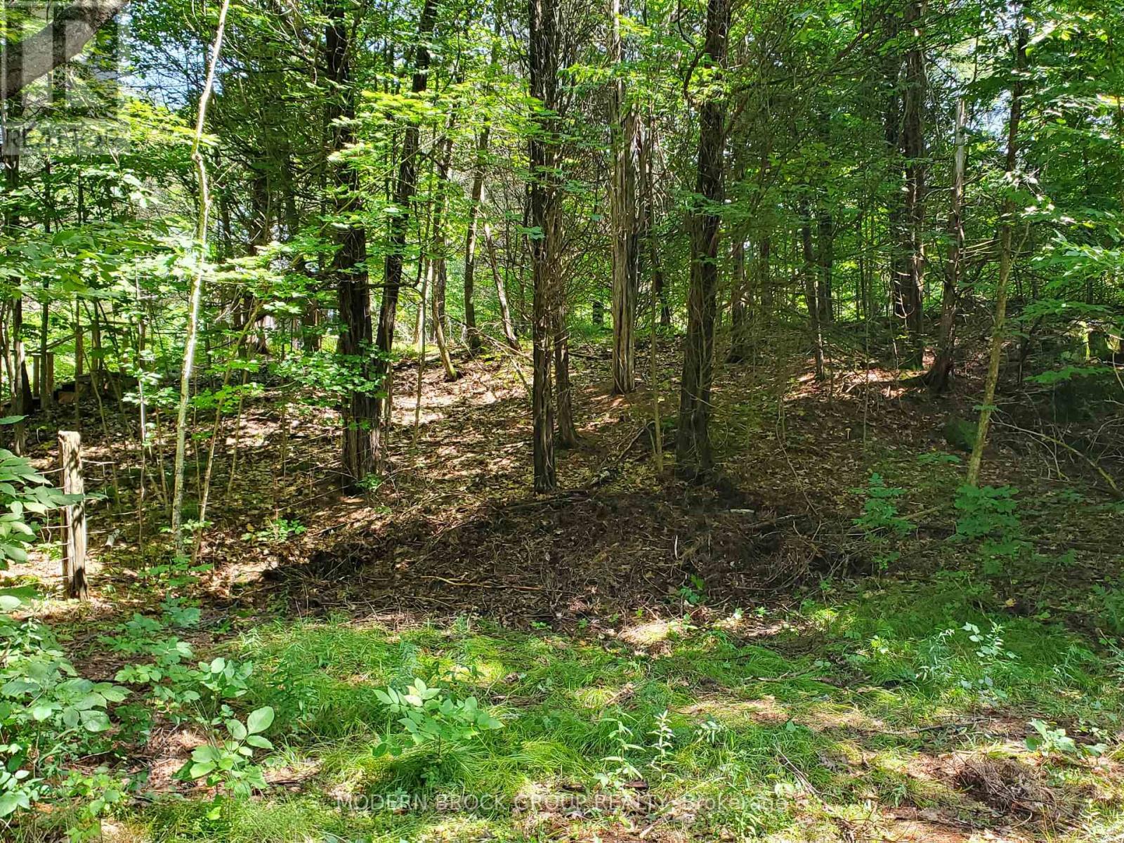 0 Beaver Mdws Road Property Photo 4