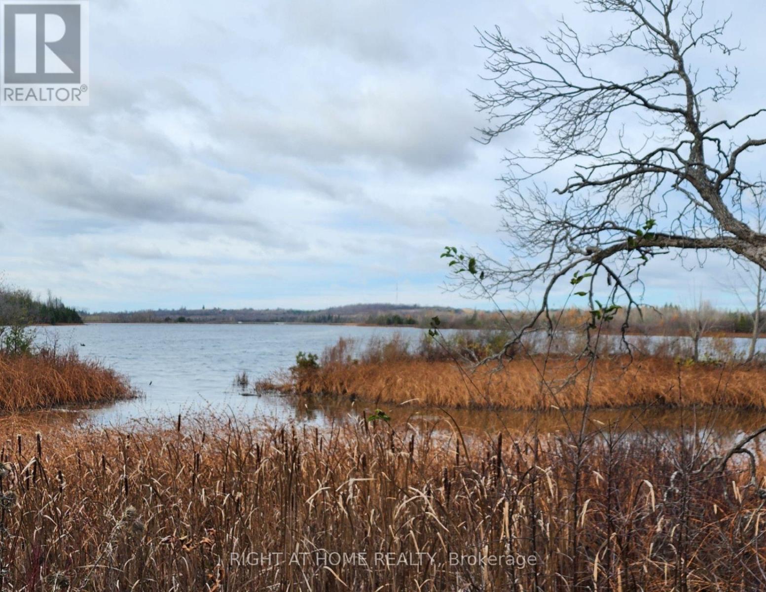 0 Park Drive Property Photo 1