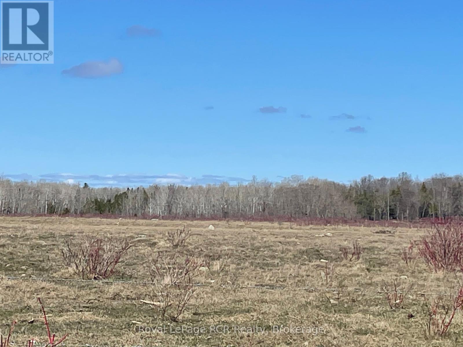 250 Scotch Line Road Property Photo 5