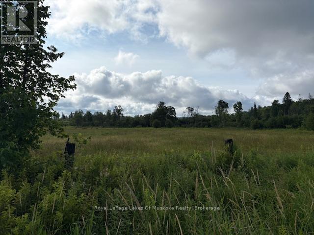 0 OLD MUSKOKA TO THE WEST SIDE OF #1105 ROAD Property Photo 1