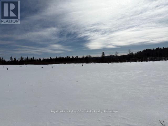 0 Old Muskoka To The West Side Of #1105 Road Property Photo 8