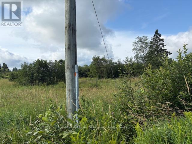 0 Old Muskoka To The East Side Of #1105 Road Property Photo 3