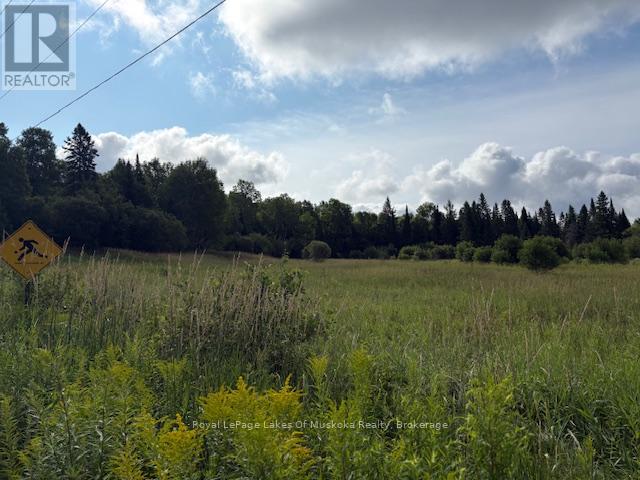 0 Old Muskoka To The East Side Of #1105 Road Property Photo 4