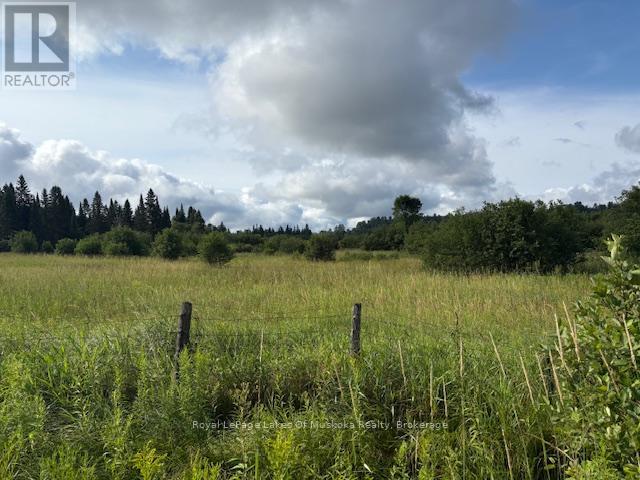 0 Old Muskoka To The East Side Of #1105 Road Property Photo 5