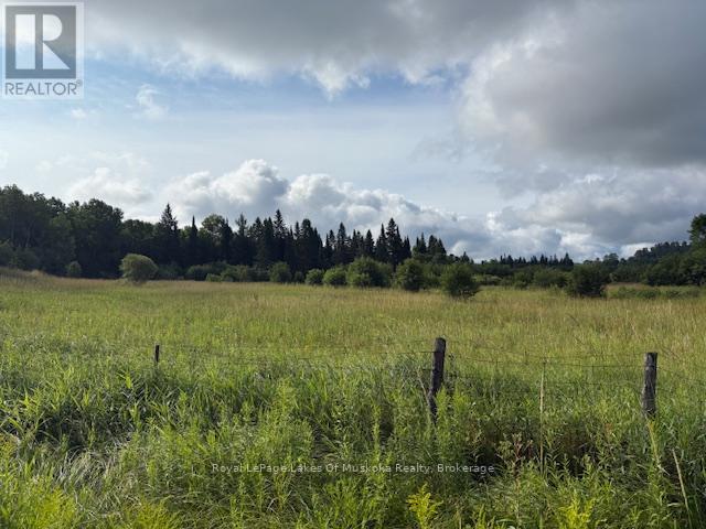 0 Old Muskoka To The East Side Of #1105 Road Property Photo 6