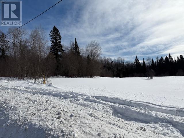 0 Old Muskoka To The East Side Of #1105 Road Property Photo 12