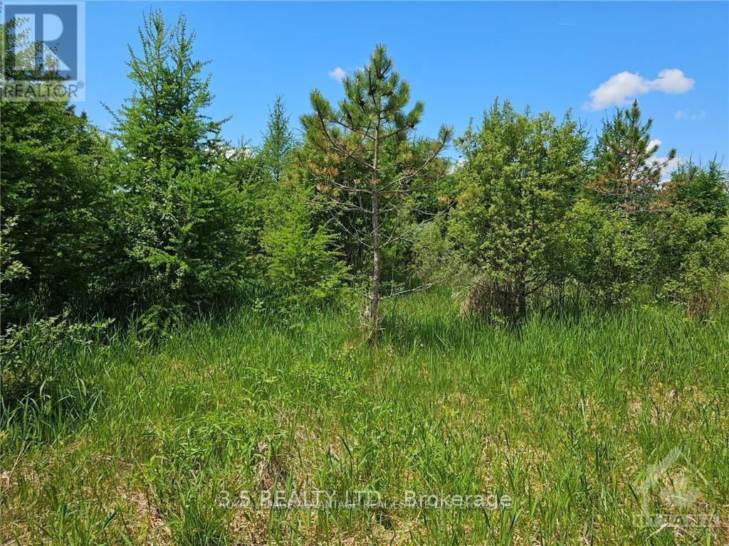 2876-1 County 16 Road Property Photo 6