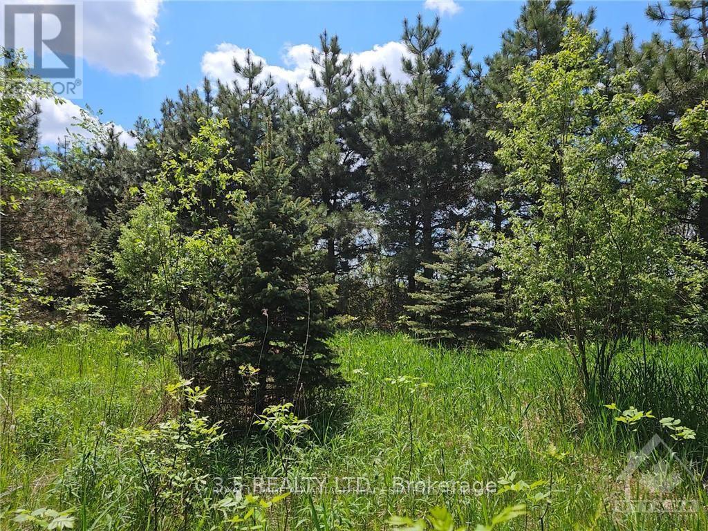 2876-1 County 16 Road Property Photo 7