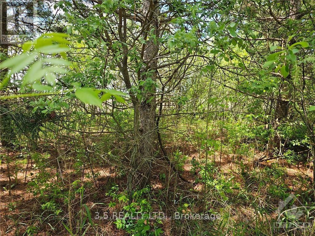 2876-1 County 16 Road Property Photo 8