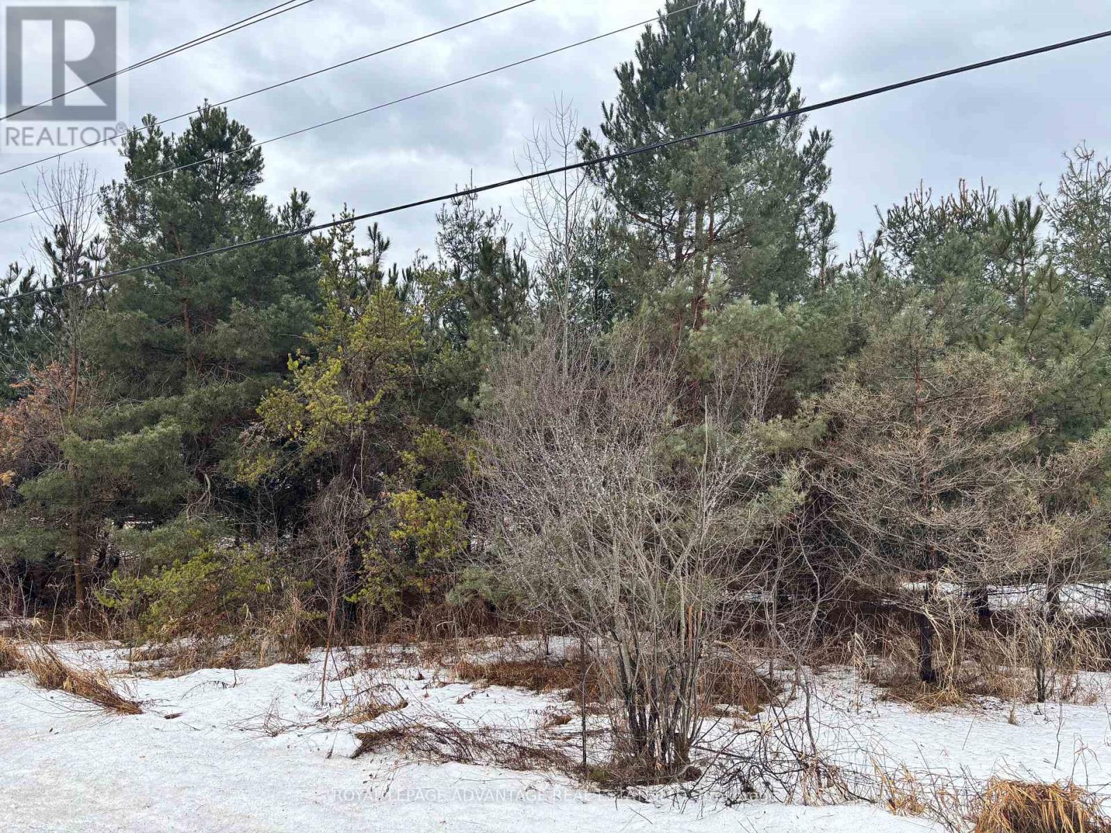2876-1 County 16 Road Property Photo 12