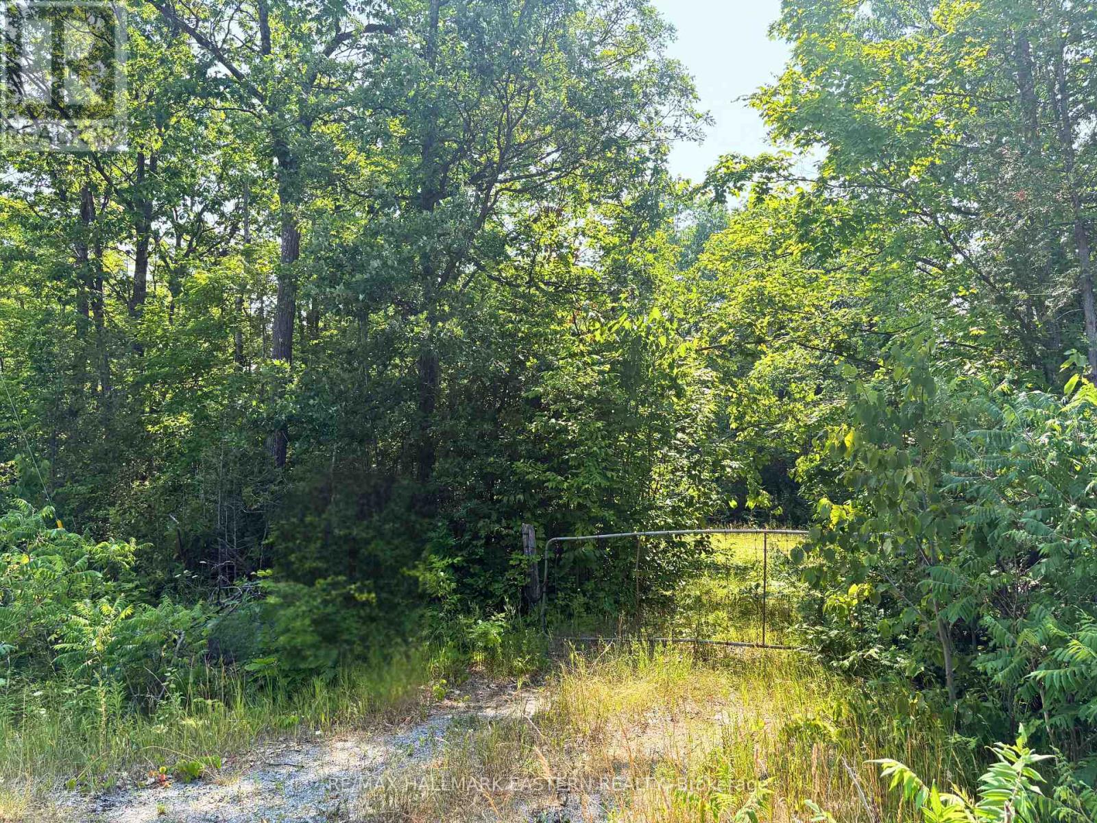 0 Hwy 28 Property Photo 8