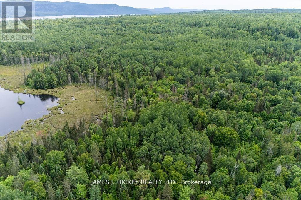0 Highway 17 Highway Property Photo 5