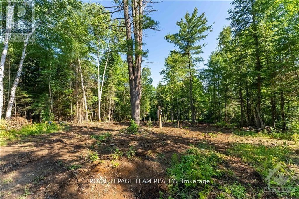 Lot 17 Bark Bay Trail Property Photo 7