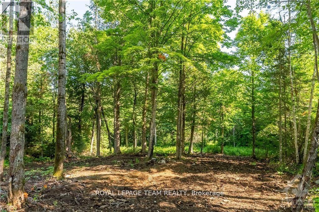 Lot 17 Bark Bay Trail Property Photo 8