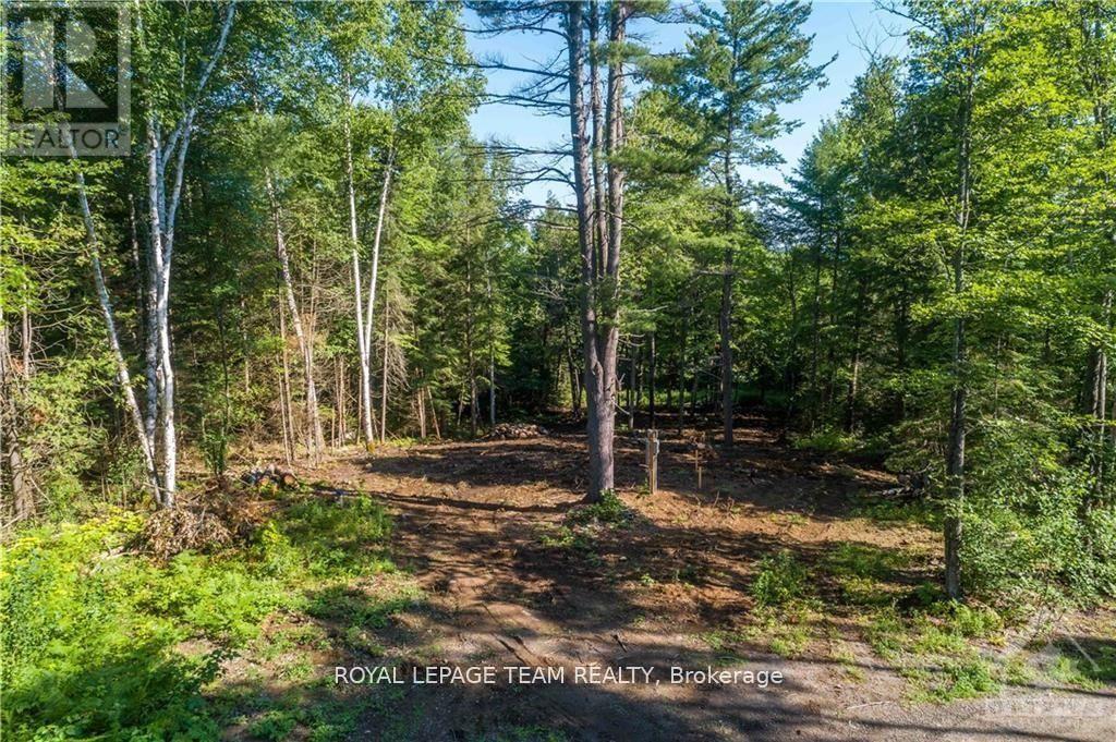 Lot 17 Bark Bay Trail Property Photo 9
