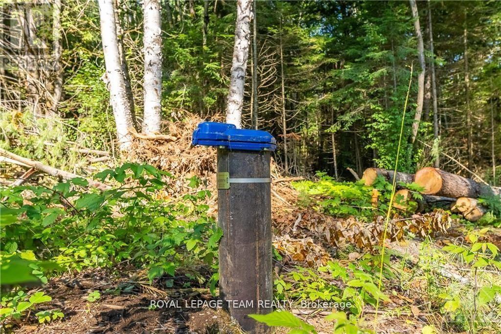 Lot 17 Bark Bay Trail Property Photo 10