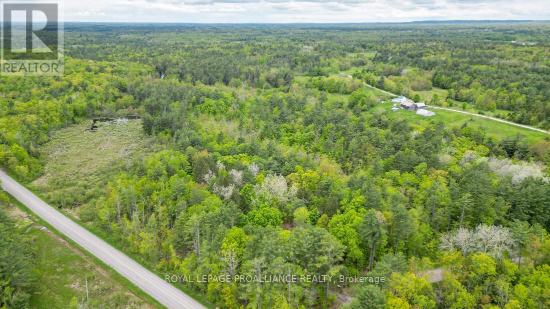 8 Clark Line Road Property Photo 4