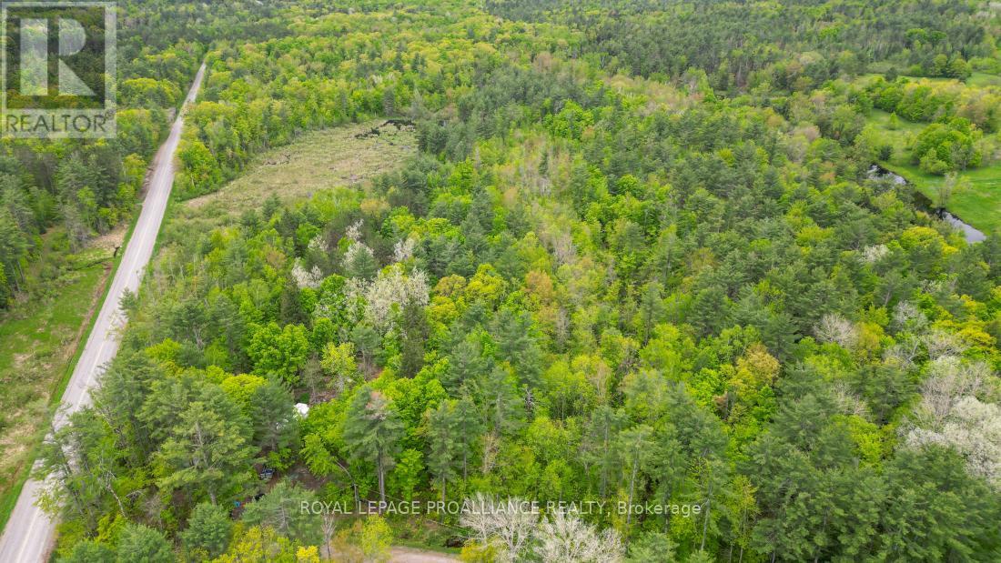 8 Clark Line Road Property Photo 5