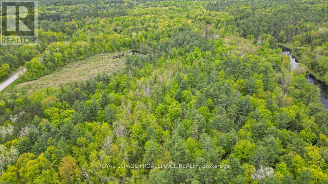 8 Clark Line Road Property Photo 7