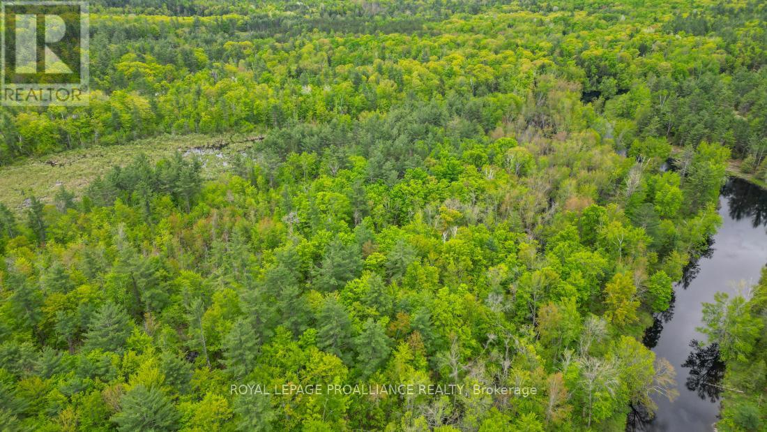 8 Clark Line Road Property Photo 8