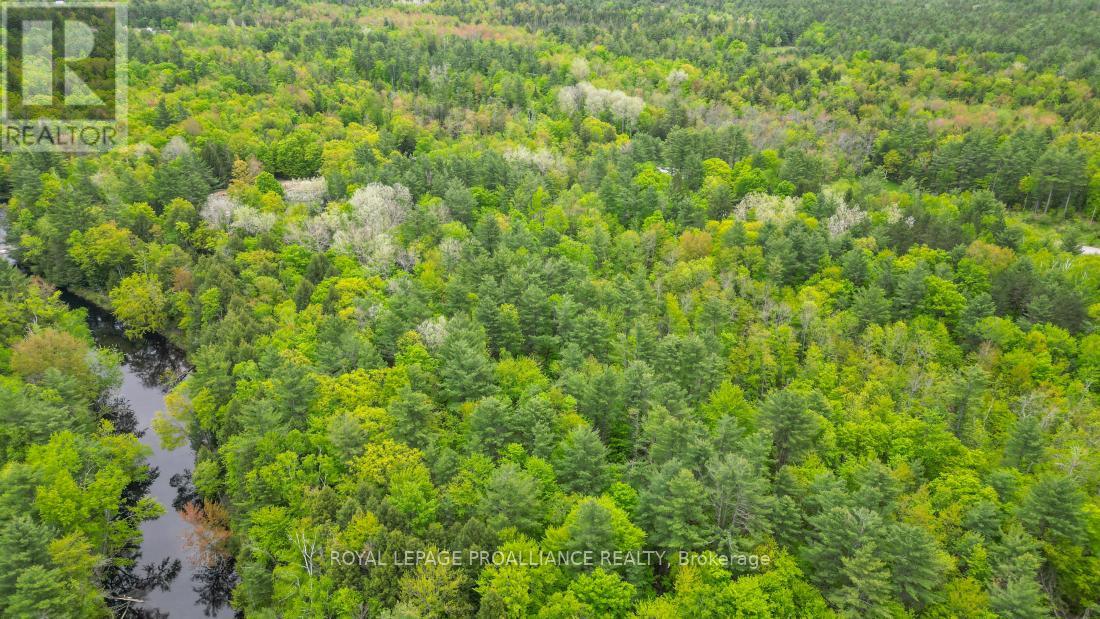 8 Clark Line Road Property Photo 9