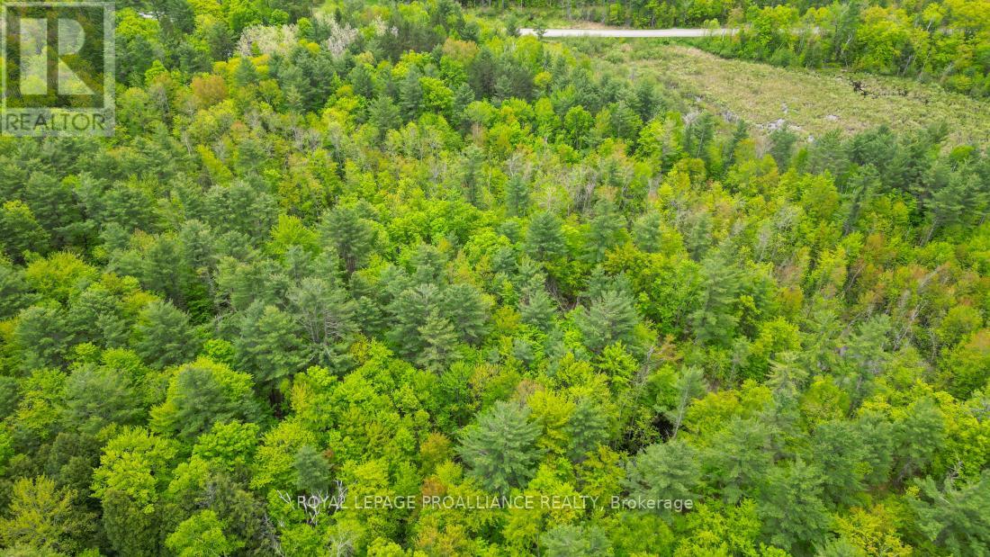 8 Clark Line Road Property Photo 10